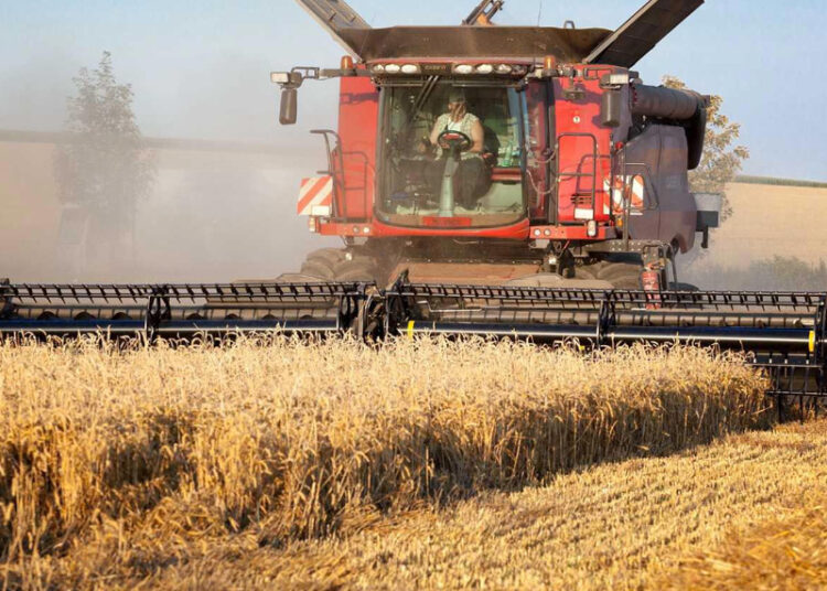 Минсельхоз сохраняет прогноз по зерну на 2025 год несмотря на погодные трудности