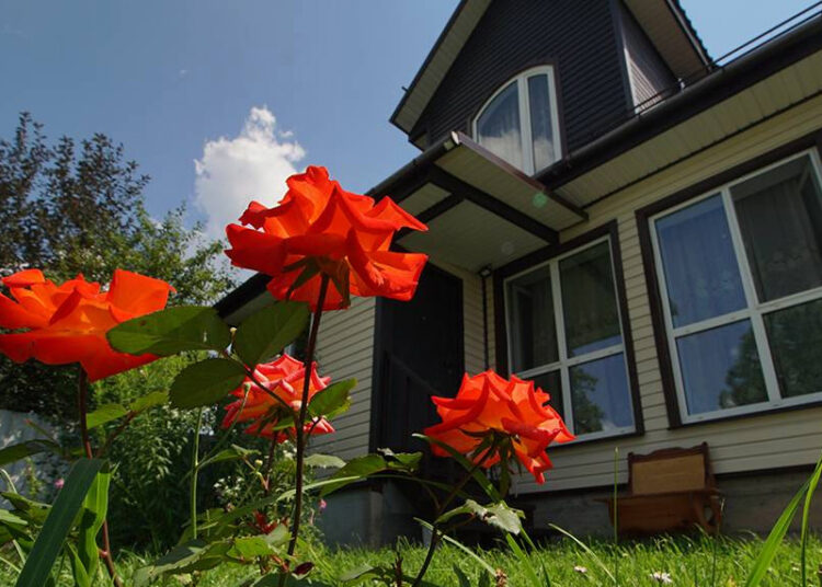 С сентября дачникам запретят зарабатывать на своих участках