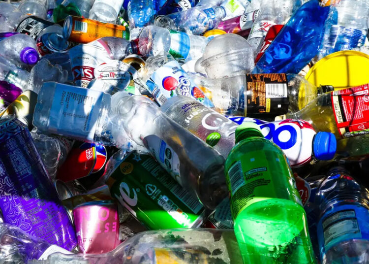 Бросил офис и зарабатывает в три раза больше: бывший айтишник просто собирает бутылки в Австрии