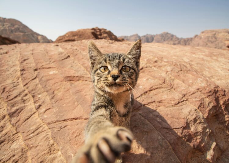 Россия договорилась о безвизовом режиме с еще одной страной