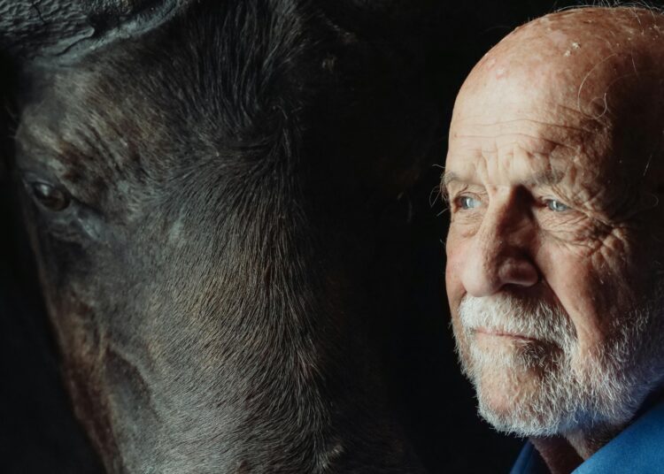 Индексация пенсий в 2026 году: кому и сколько добавят