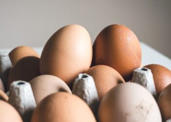 Россельхознадзор развеял миф о поставках яиц в США