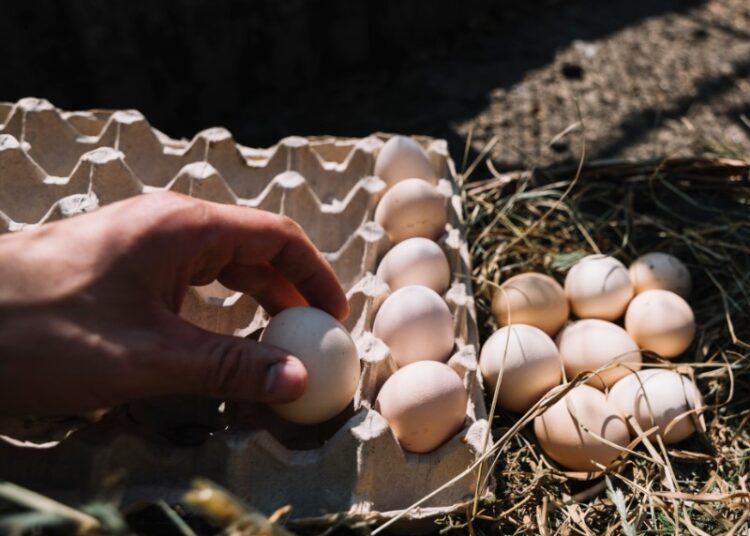 Что творится с ценами на яйца