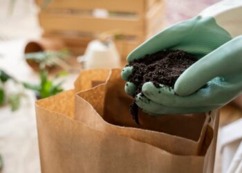 Индия обновила рекорд по импорту российских удобрений