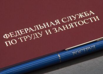 Юрист объяснила, какие штрафы грозят работодателям за неповышение зарплат до МРОТ
