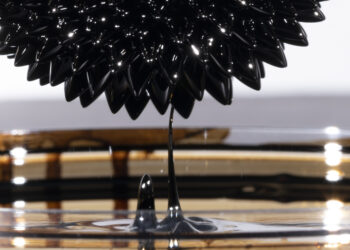 Самый богатый индиец купил российскую нефть на 33 млрд долларов