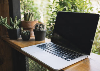 В России рекордными темпами дорожают ноутбуки