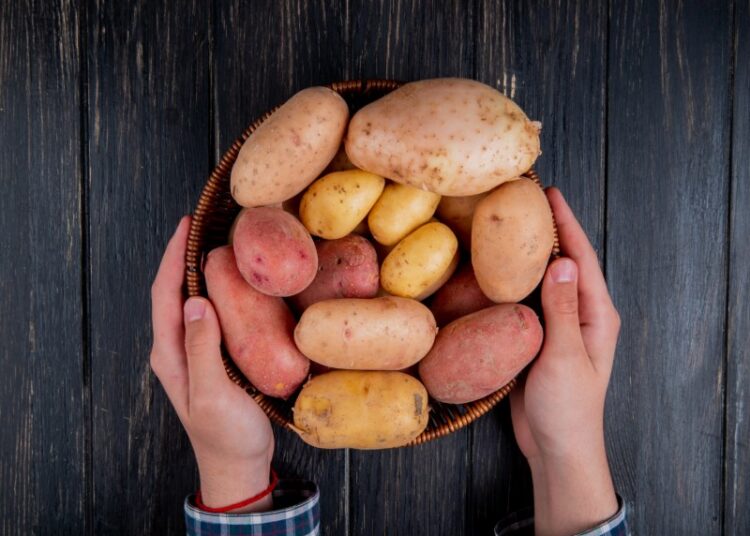 Цены на картофель в России упали ниже 40 руб. впервые за полтора года