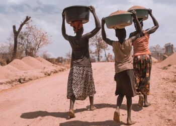 Россия экспортировала в Африку продовольствия на $2,8 млрд