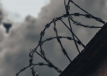 В России выросла средняя зарплата зэков