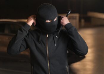 Новые подробности ограбления Лувра: охранник-соучастник и задержанные грабители