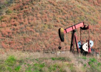 На Западе рассказали о влиянии санкций США на закупки российской нефти Индией