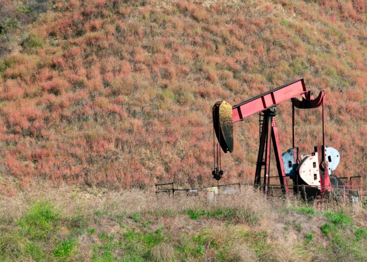 На Западе рассказали о влиянии санкций США на закупки российской нефти Индией