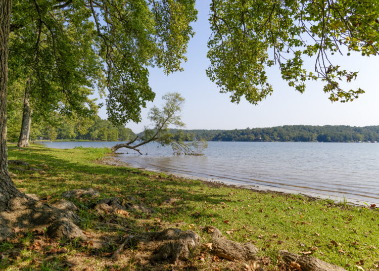 В Москве пытаются отсудить участок Киркорова на берегу реки