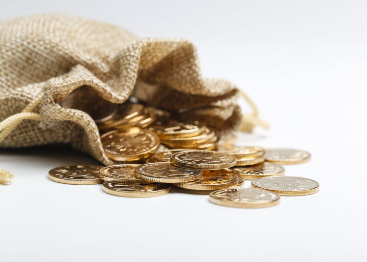 Россиянам рассказали, как инвестировать в ломбарды