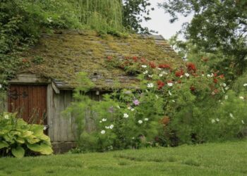 Перечислены освобожденные от налога постройки на дачах