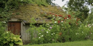 Перечислены освобожденные от налога постройки на дачах