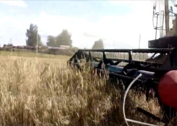 Вице-премьер Патрушев объяснил, почему сократился экспорт зерна из России