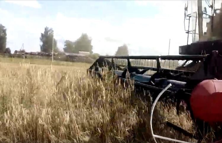 Вице-премьер Патрушев объяснил, почему сократился экспорт зерна из России