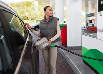 В России разрешат «бодяжить» бензин: экстренные меры помогут побороть топливный кризис