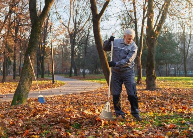Зарплаты — до 85 тыс. рублей: где в России дворники зарабатывают больше всего