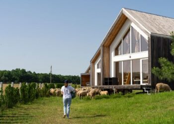 Минфин назвал срок введения налога на аренду домов