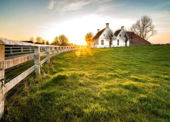 Россиянам рассказали, как бесплатно получить землю