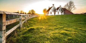 Россиянам рассказали, как бесплатно получить землю